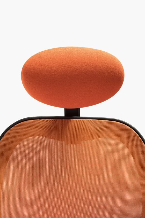 Q3 - immagine 5
