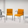 Teckel - immagine 2